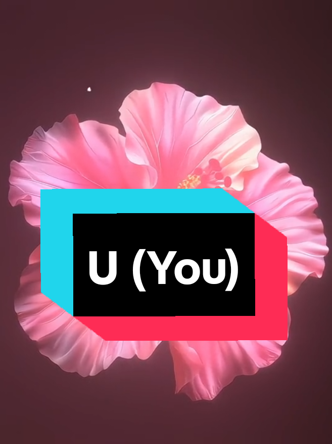 @𝟑𝟎𝟑 𝐅𝐢𝐧𝐧𝐥𝐲𝐫𝐢𝐜𝐬