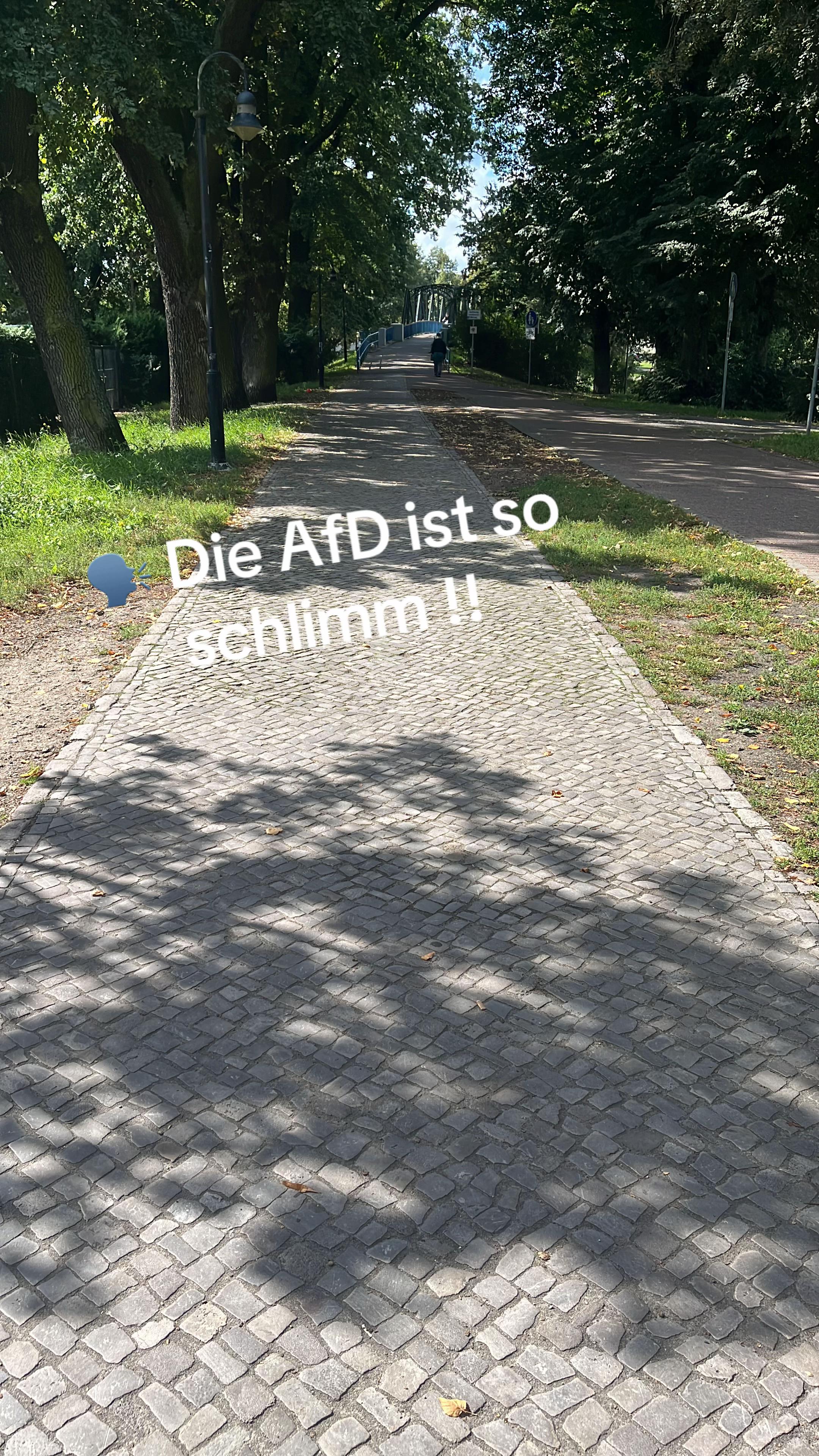 @AliceWeidel_afdfan4578