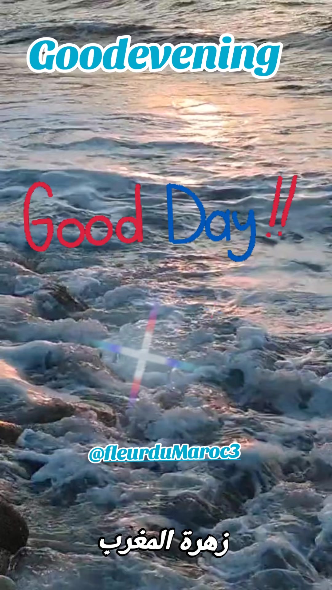 @زهرة المغرب