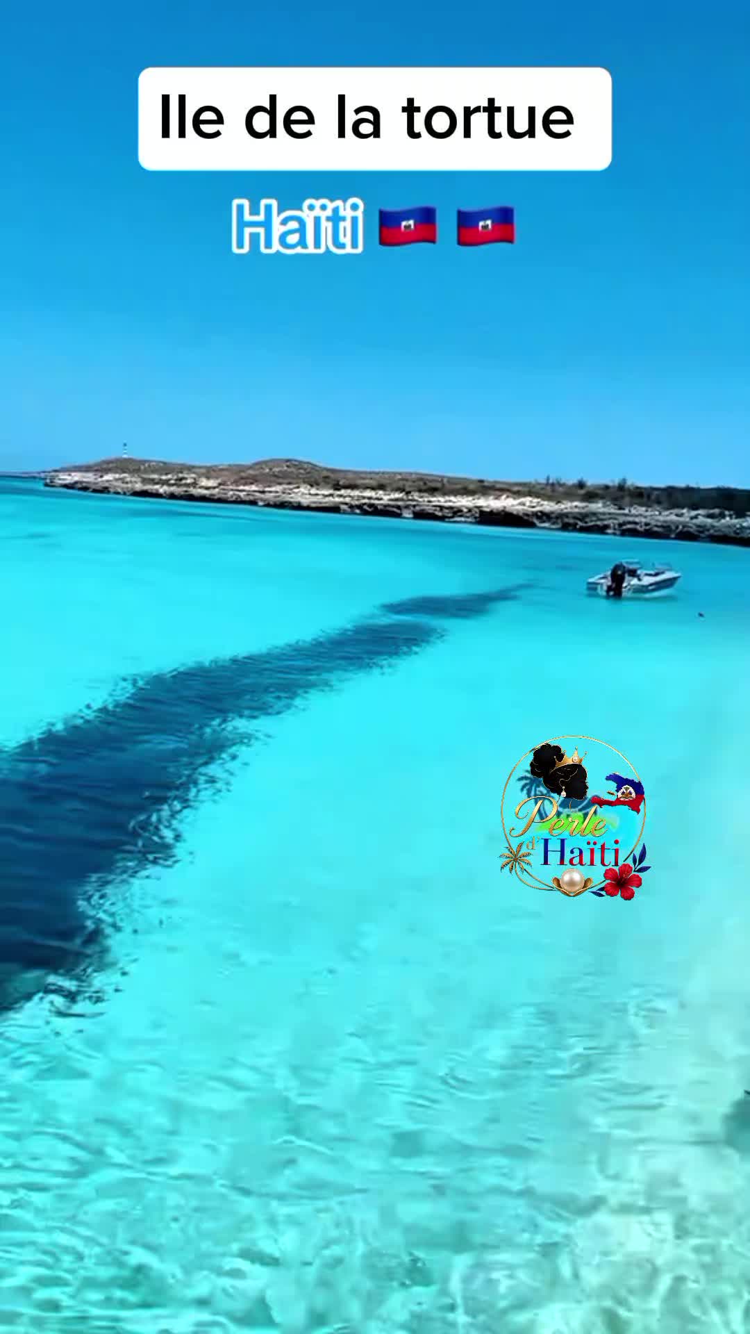 @🌴PERLE D'HA&Iuml;TI 🌴