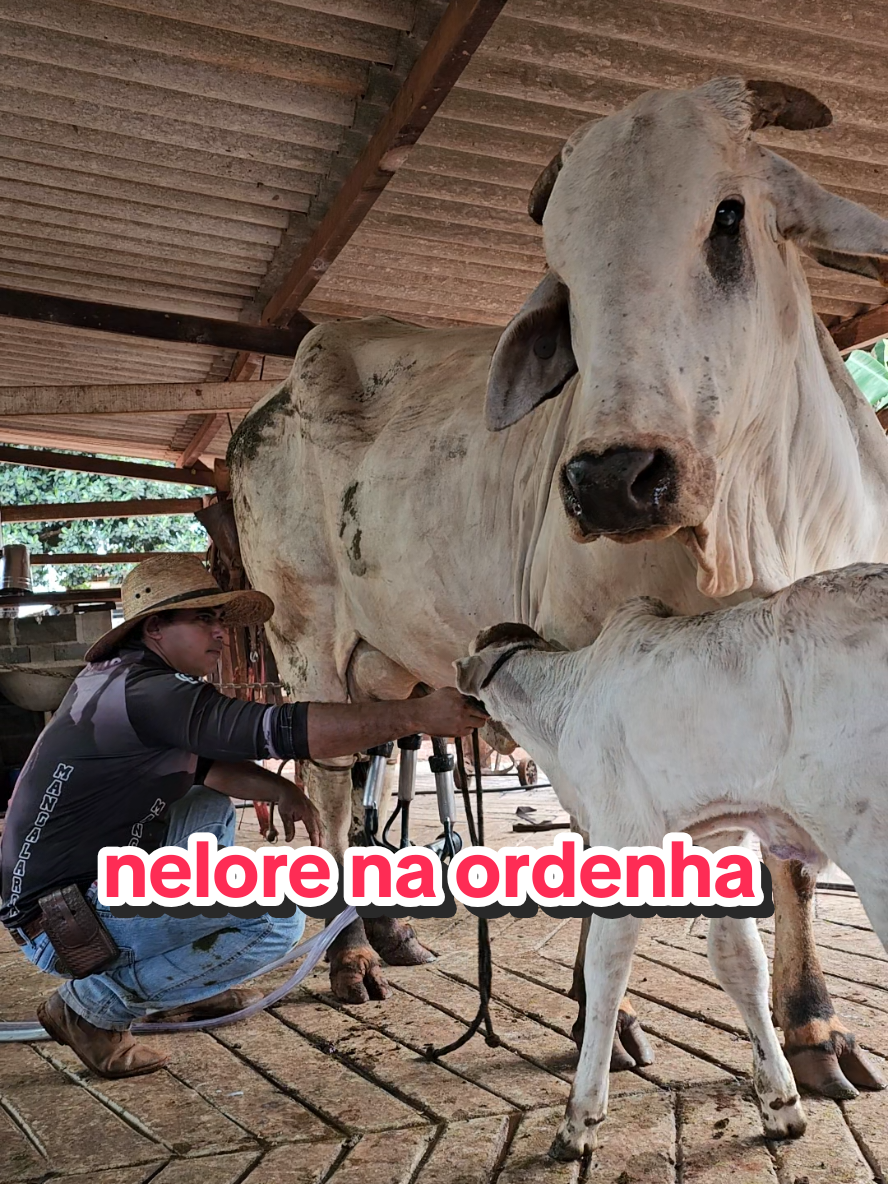 @Geovane neto