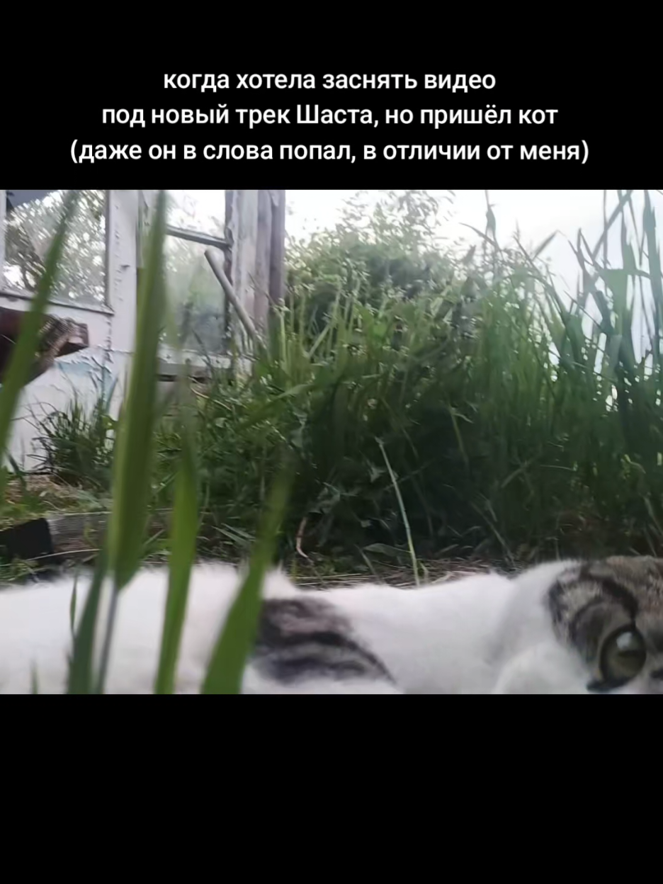 @Ксю>