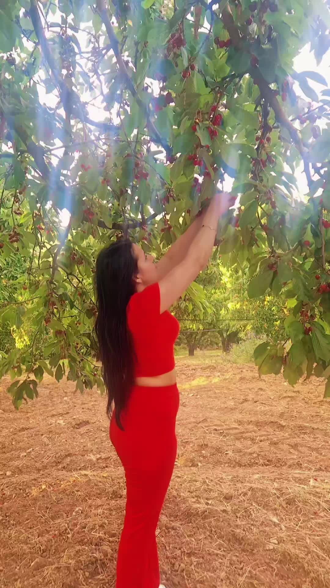 @Gena Qershia36🍒🍒