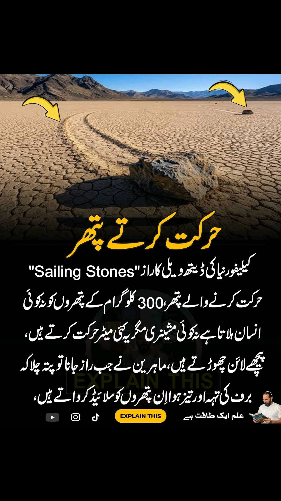 @bodagayi445