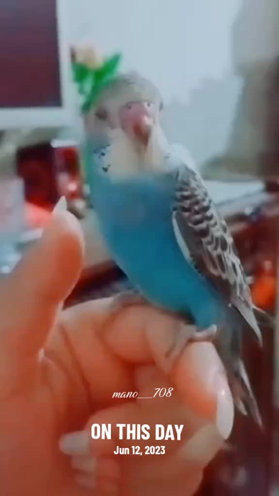 @mano__708