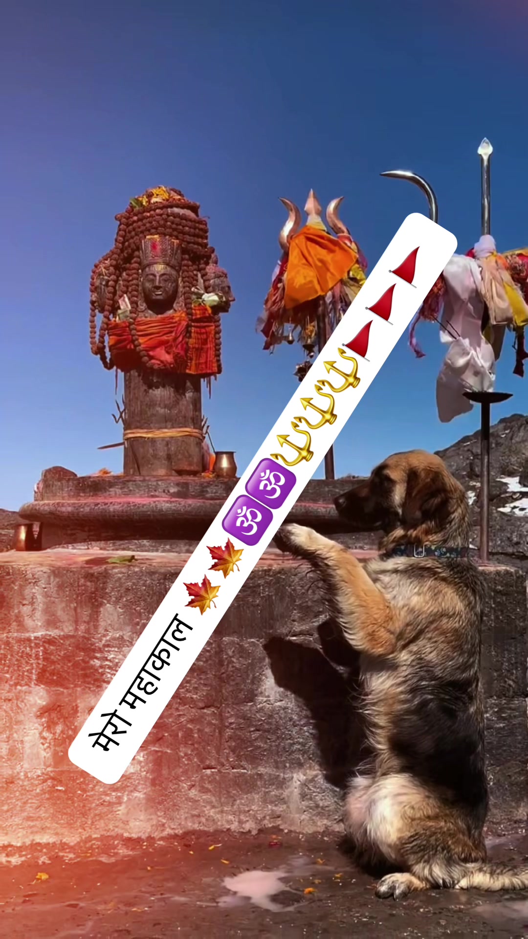 @🔱!! महाकाल 🌿सरकार !!🔱