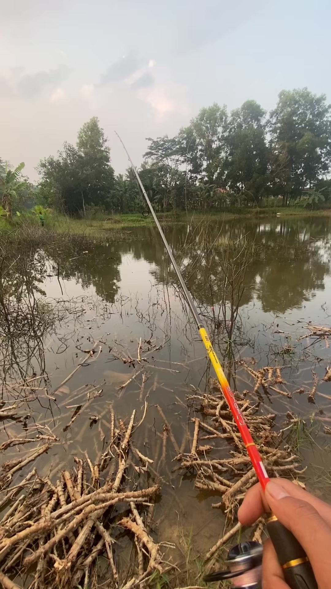 @stecu Fishing
