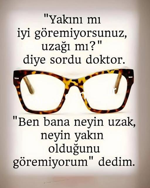 @48 Krall Lionn