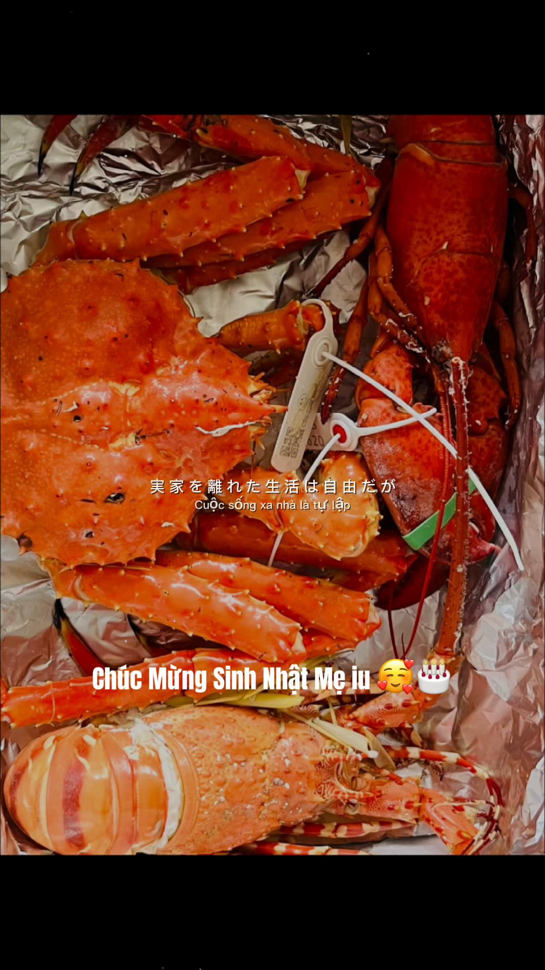 @Hoắc Chi&ecirc;u Long 🐲