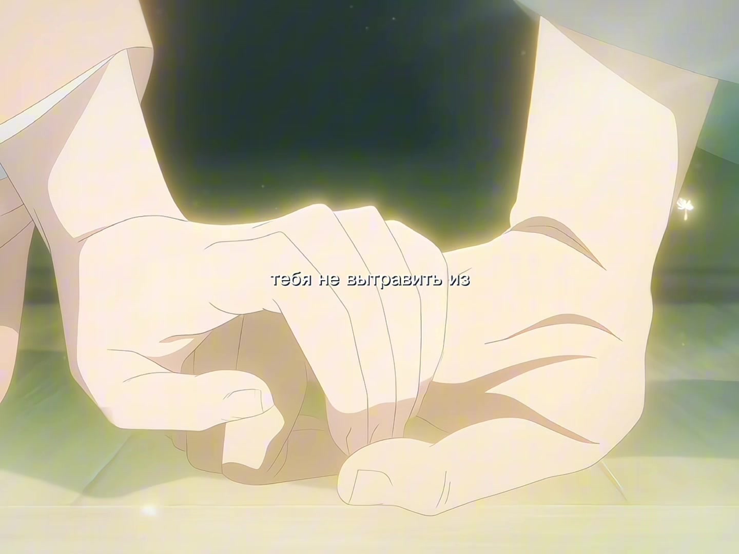 @◞Alicceww|系Editor◜