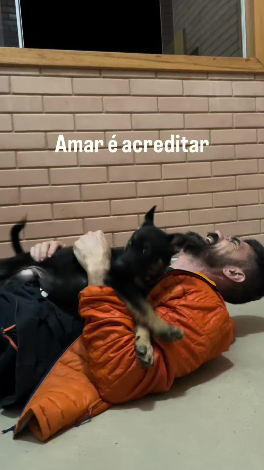@Mv. Ana C. Werkema