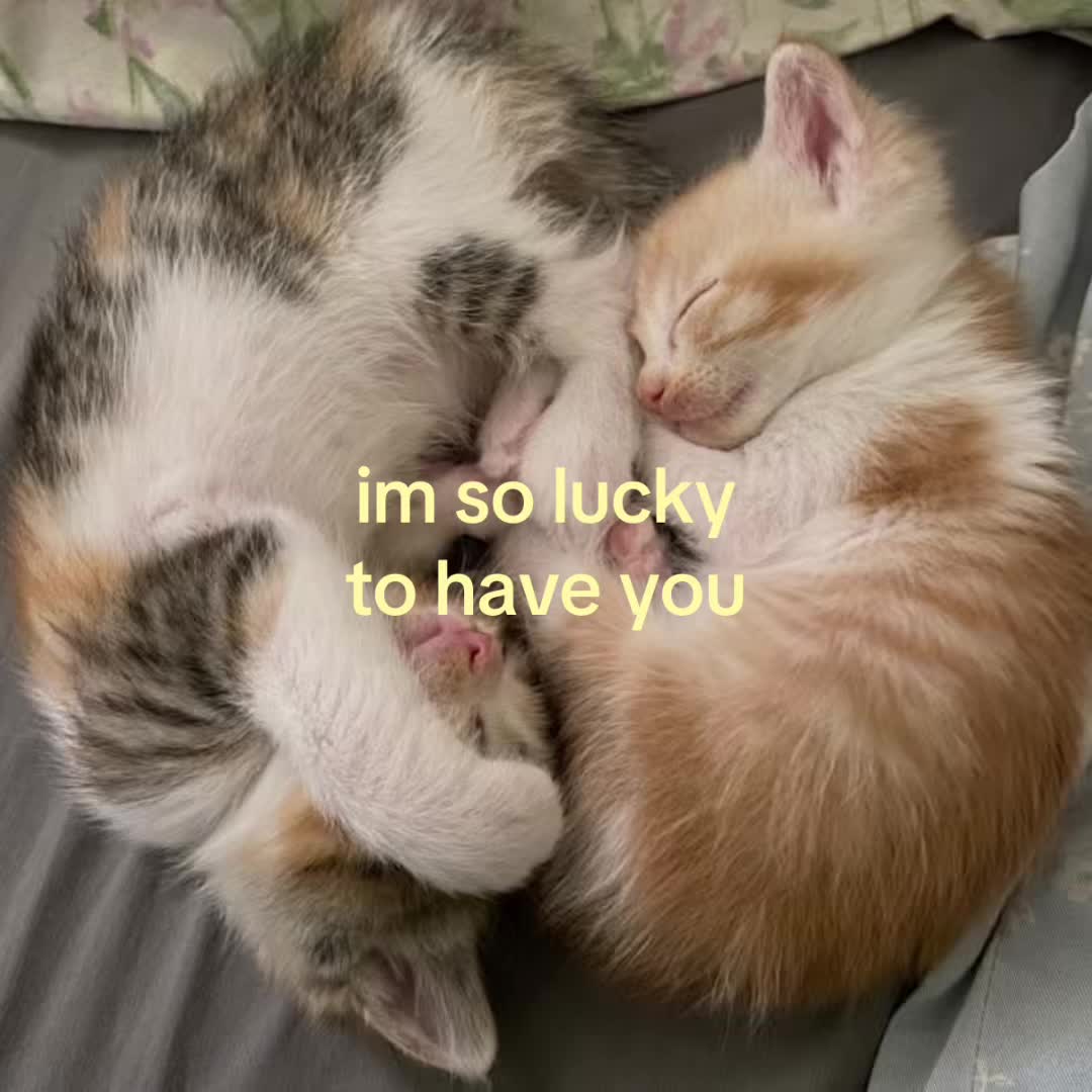 @motionsoflove
