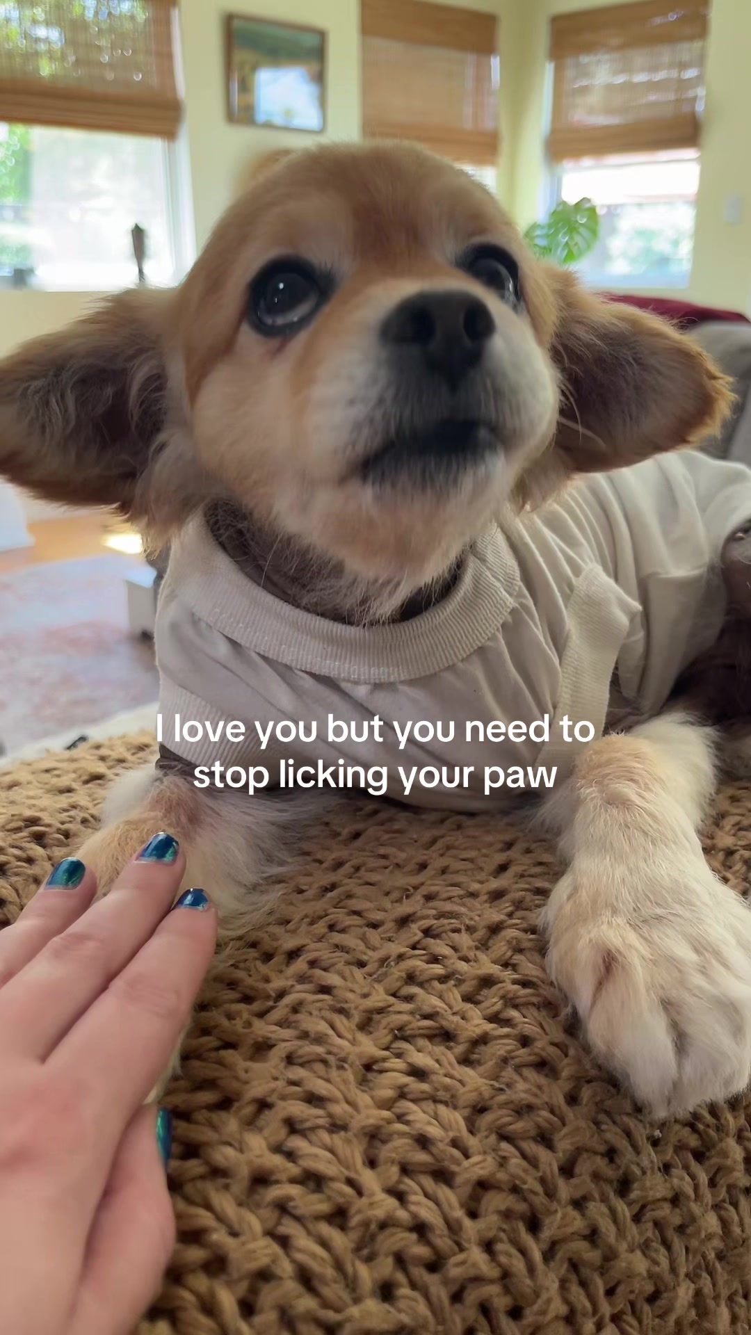 @pep