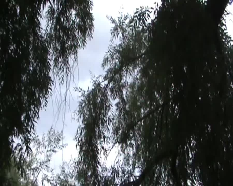 @sorryblue.mp4