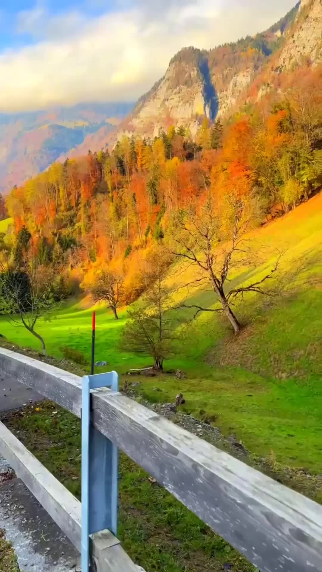 @alnxsssss82267600