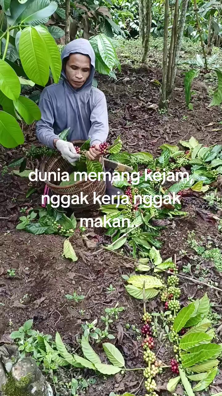 @punya cerita..