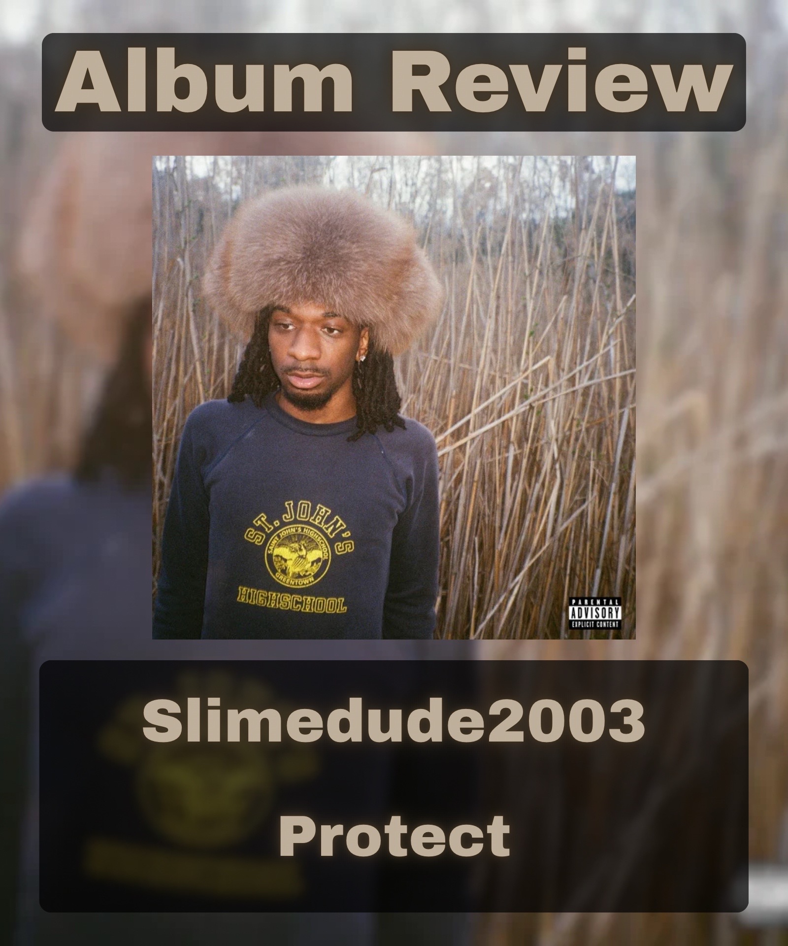 @gingermusicreviewer