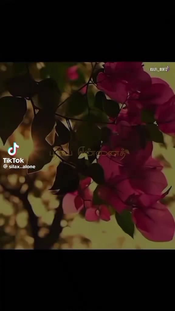 @Ranjani Siva