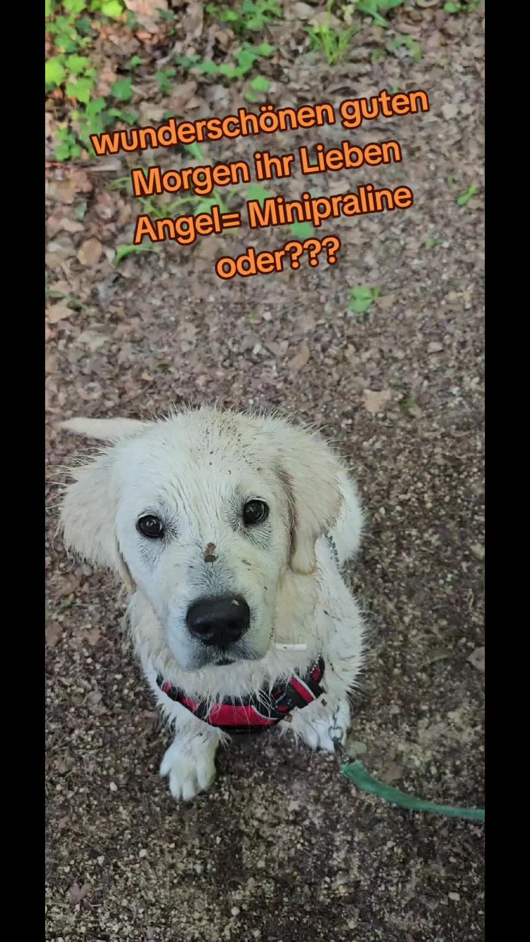 @Jennifer💕Keyla💕Angel