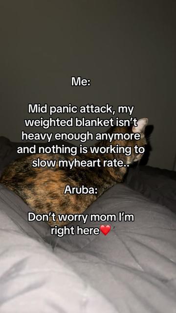 @hikingmama19