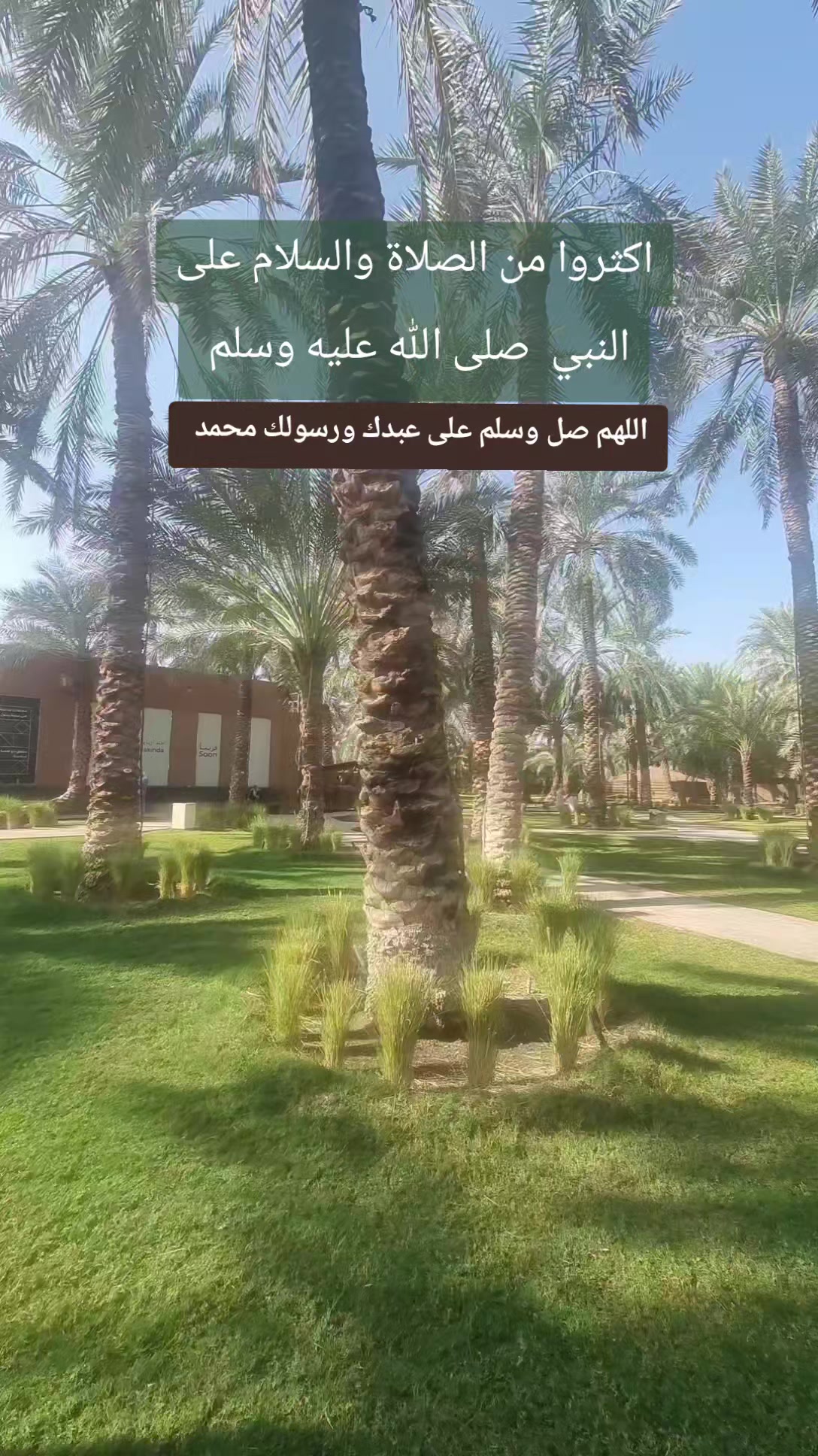 @سعود من المدينة المنورة 🛑
