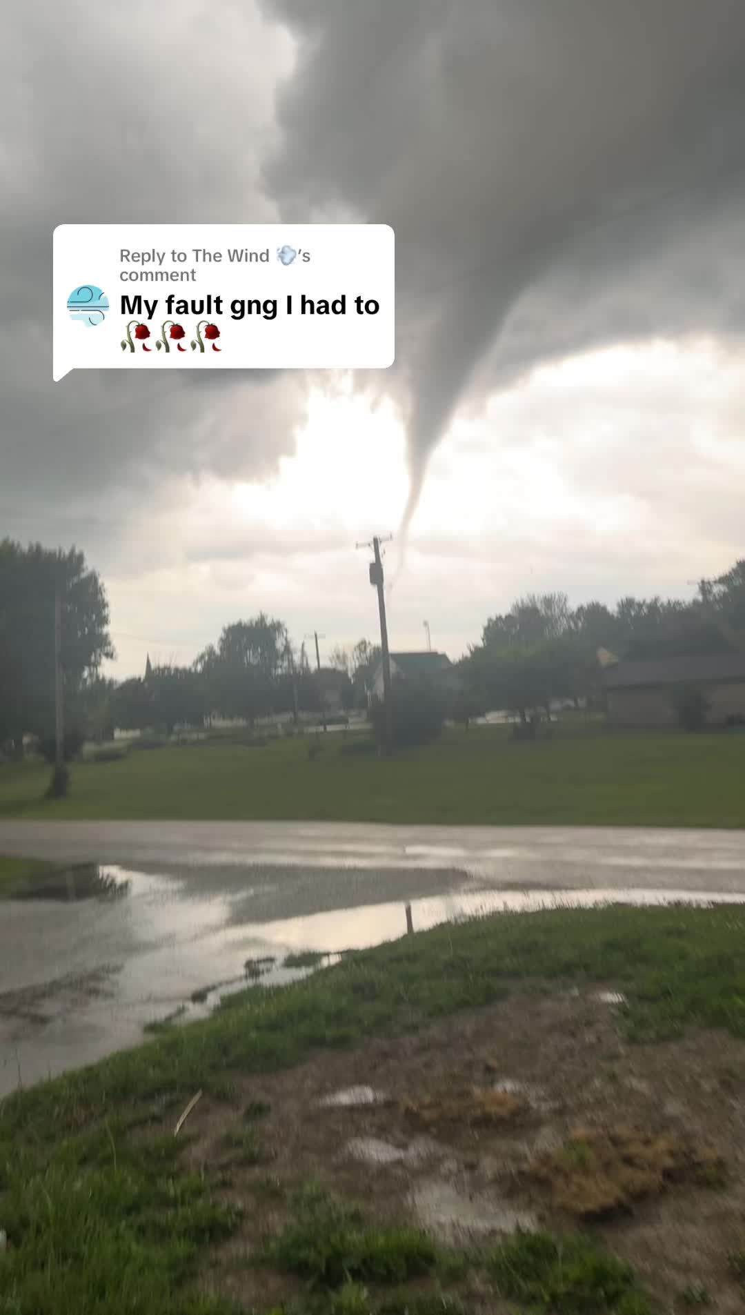 @TreevilKenevil
