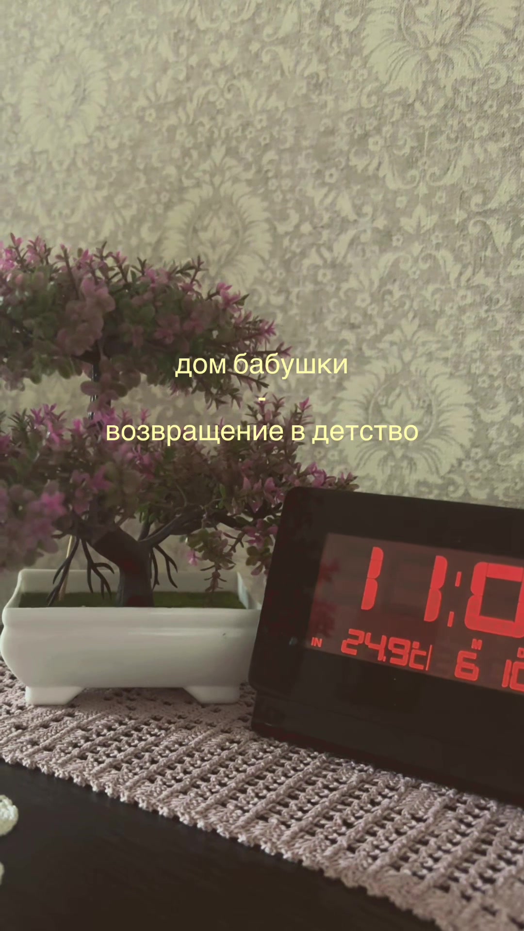 @🤍🫧ʍᥲну᧘ь🐾☁️