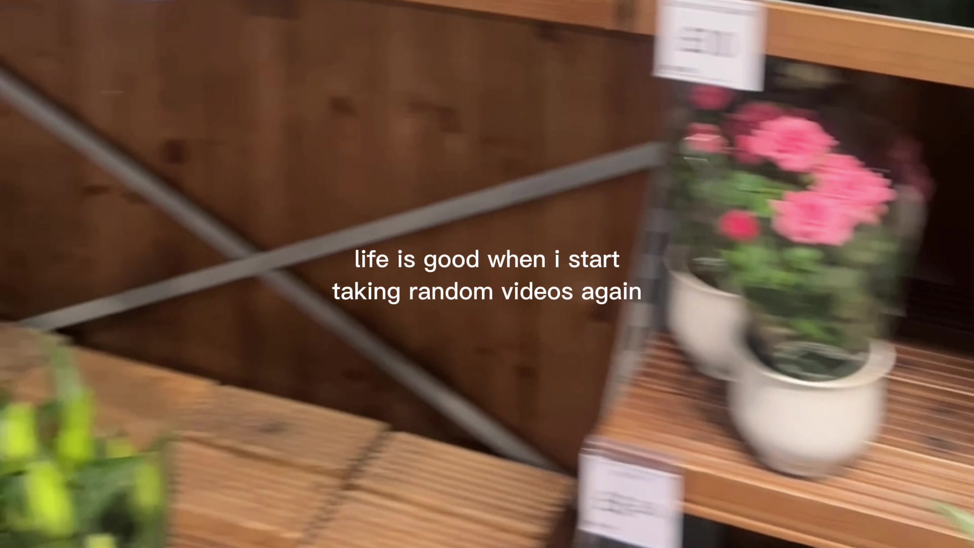 @Frankie🌷