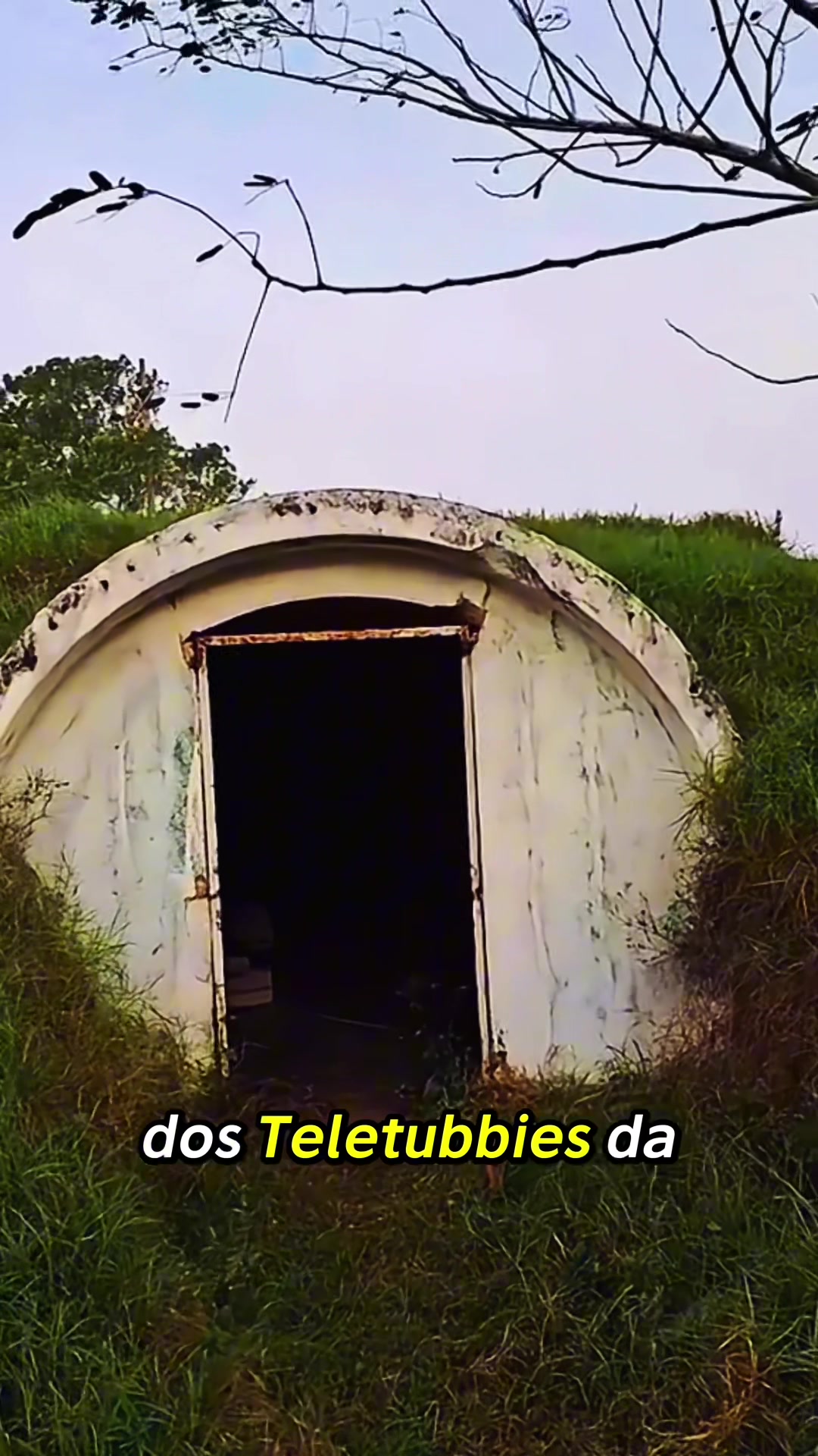@felpzoficial