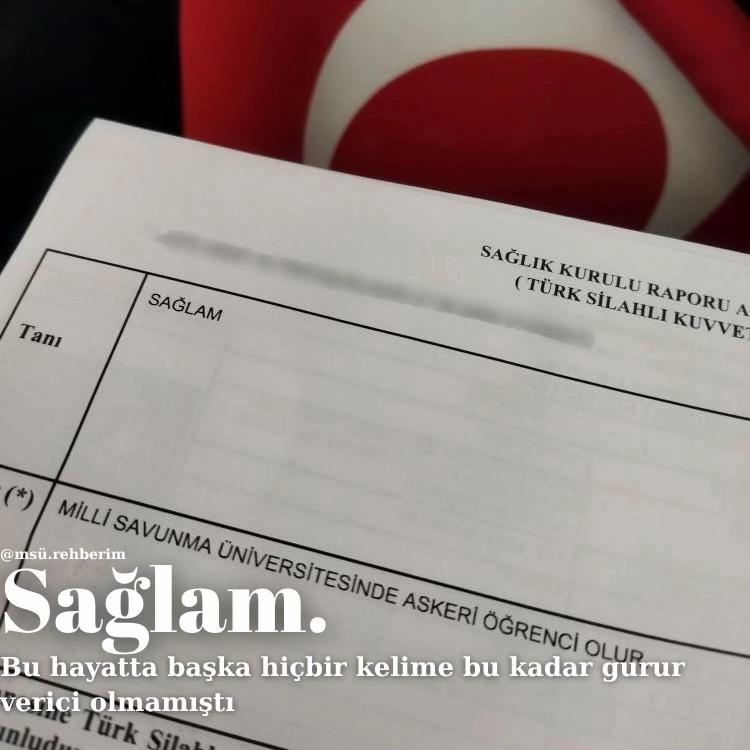 @msu.rehberim