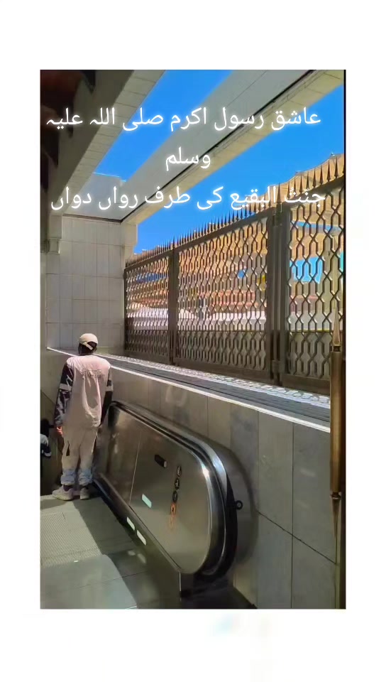 @ALi Asghar Awan 🇵🇰