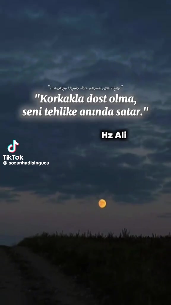 @Bu Alemde kral tanimam
