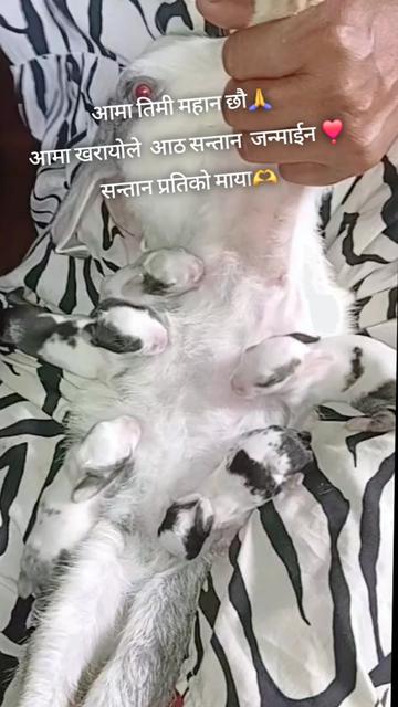 @Saanvi's Mom S&uuml;Z&ucirc;🤱
