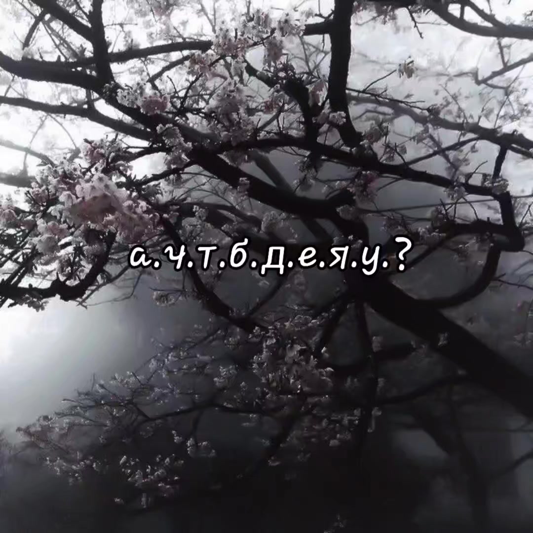 @𝒲𝒲𝒪𝐼𝐼𝒪𝒬𝒬𝐿