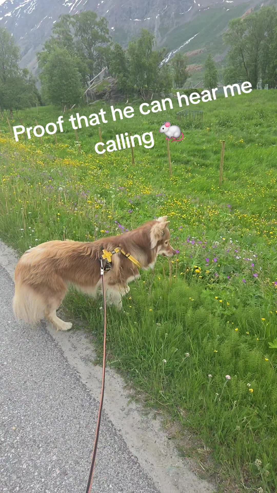 @Ingrid Knudsen