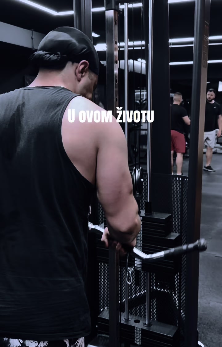 @DimitrijeVeliki
