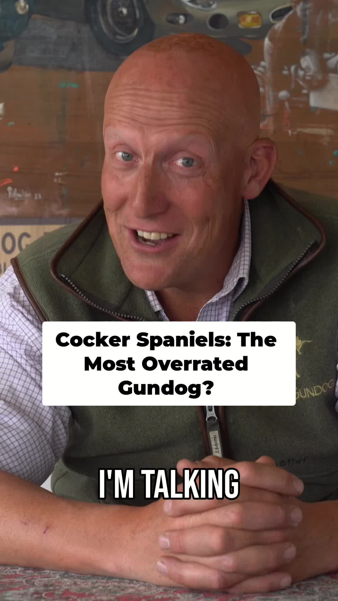@Mordor Gundogs