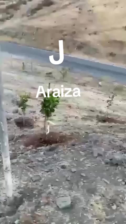 @ROSARIO VR MIGELITO 😍🥰😍🤩