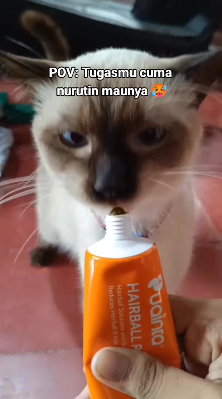 @Yusuf Efendi