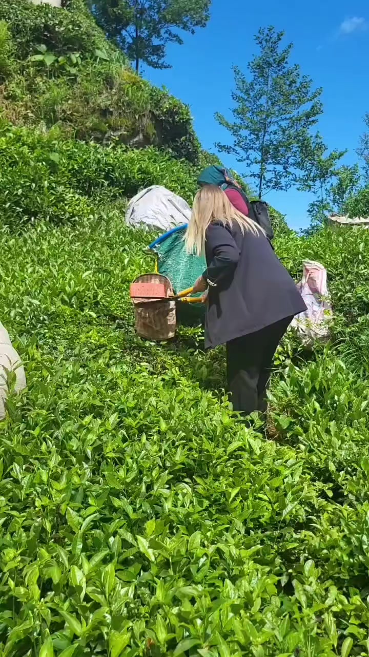 @𝐒🌼