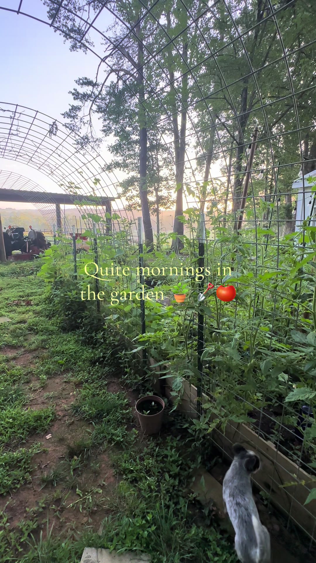 @Heavenly_Homestead