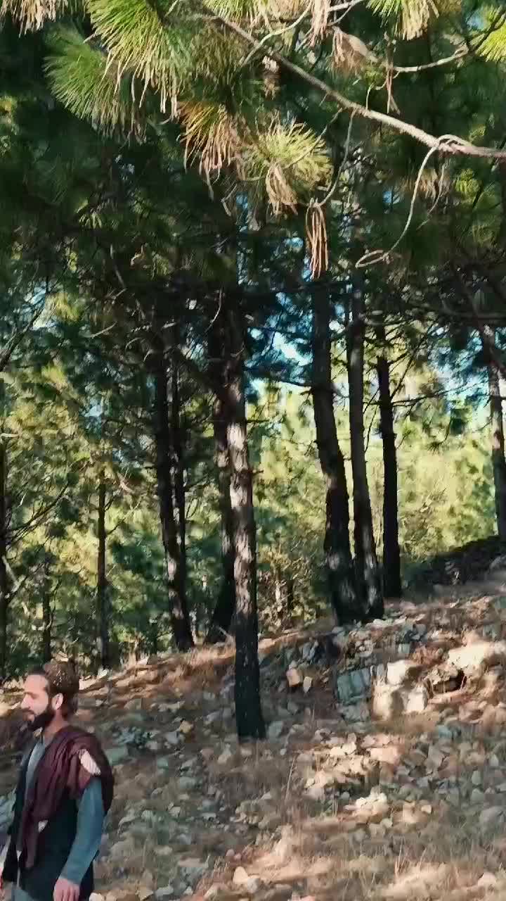 @ibrahim tanoli