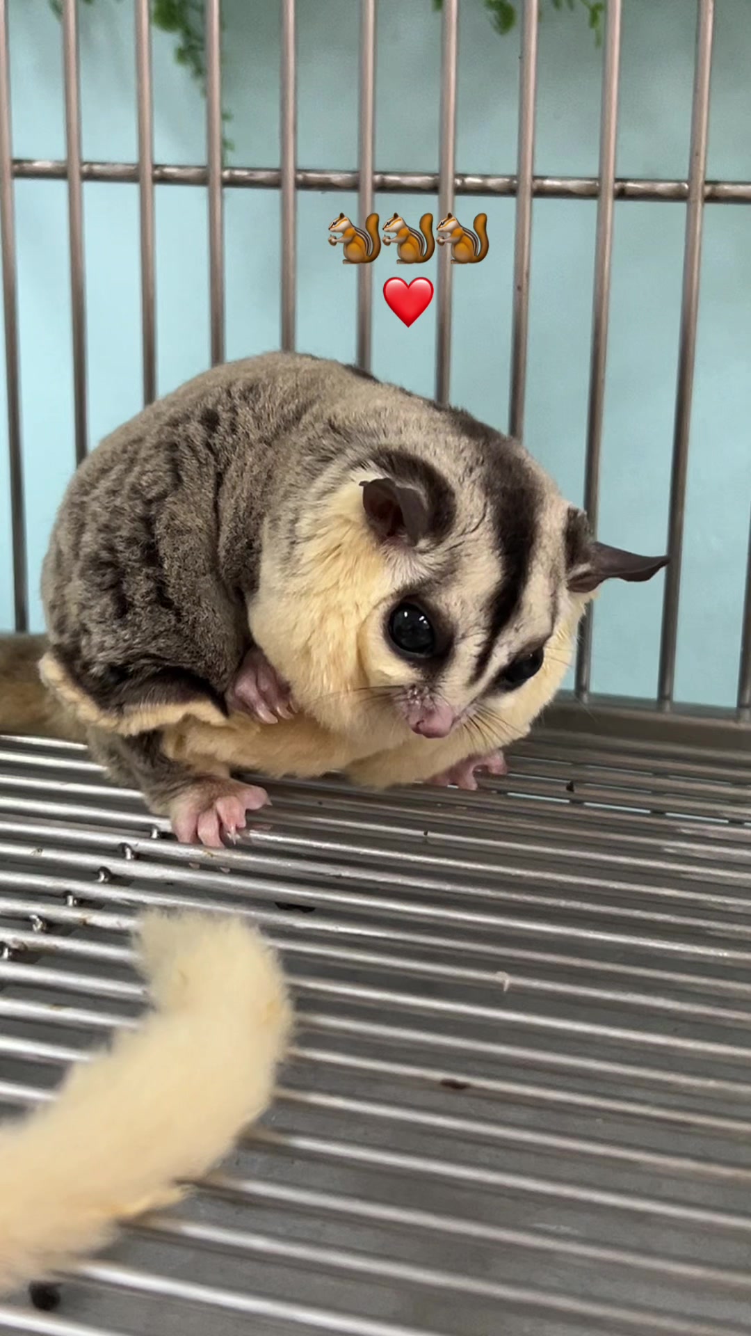 @jesugarglider.id1