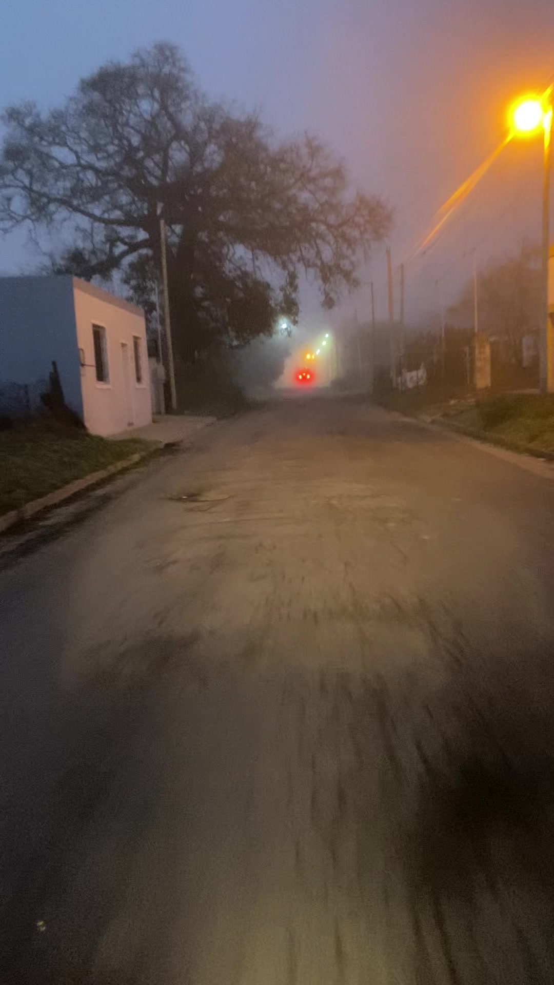 @paola salinas