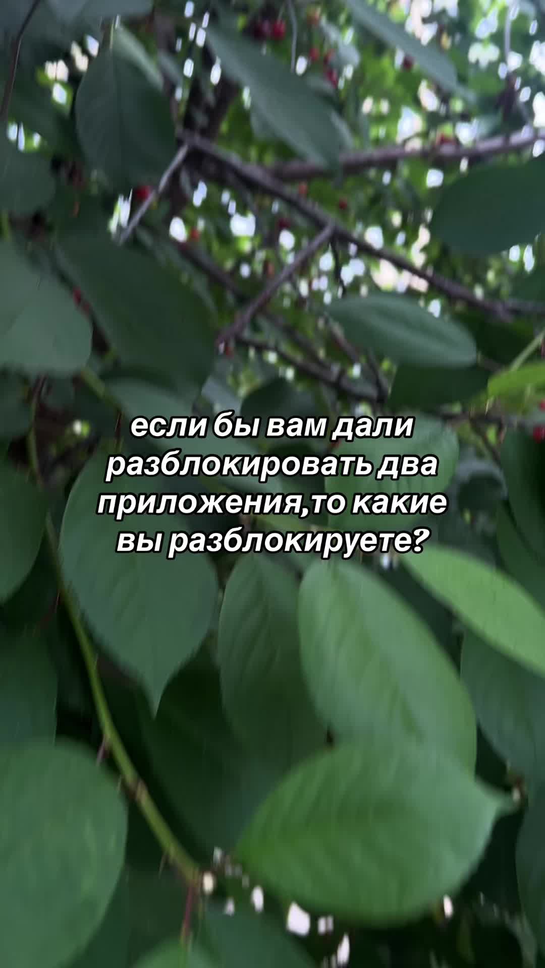 @alicerr🫦