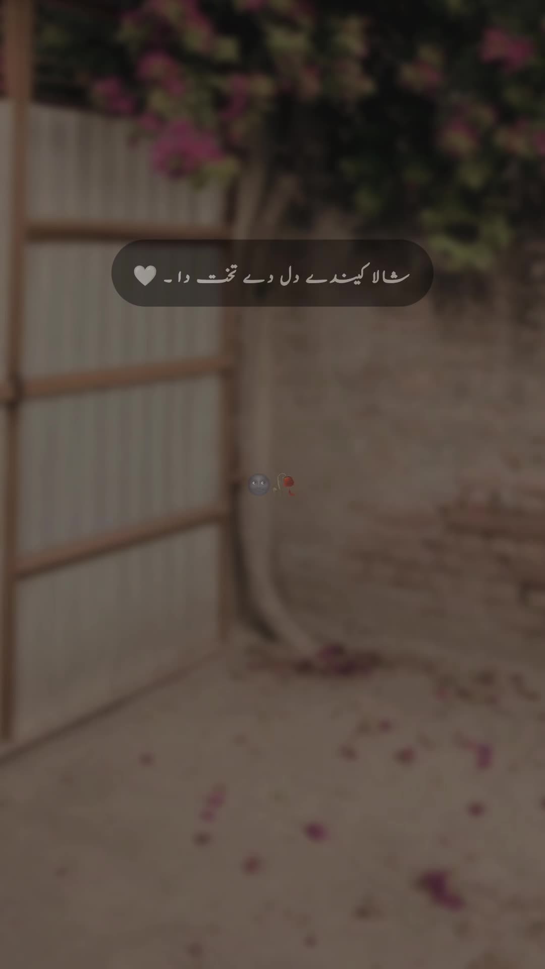 @๐ ๐ ๐ ๐ข ๐๐ซ