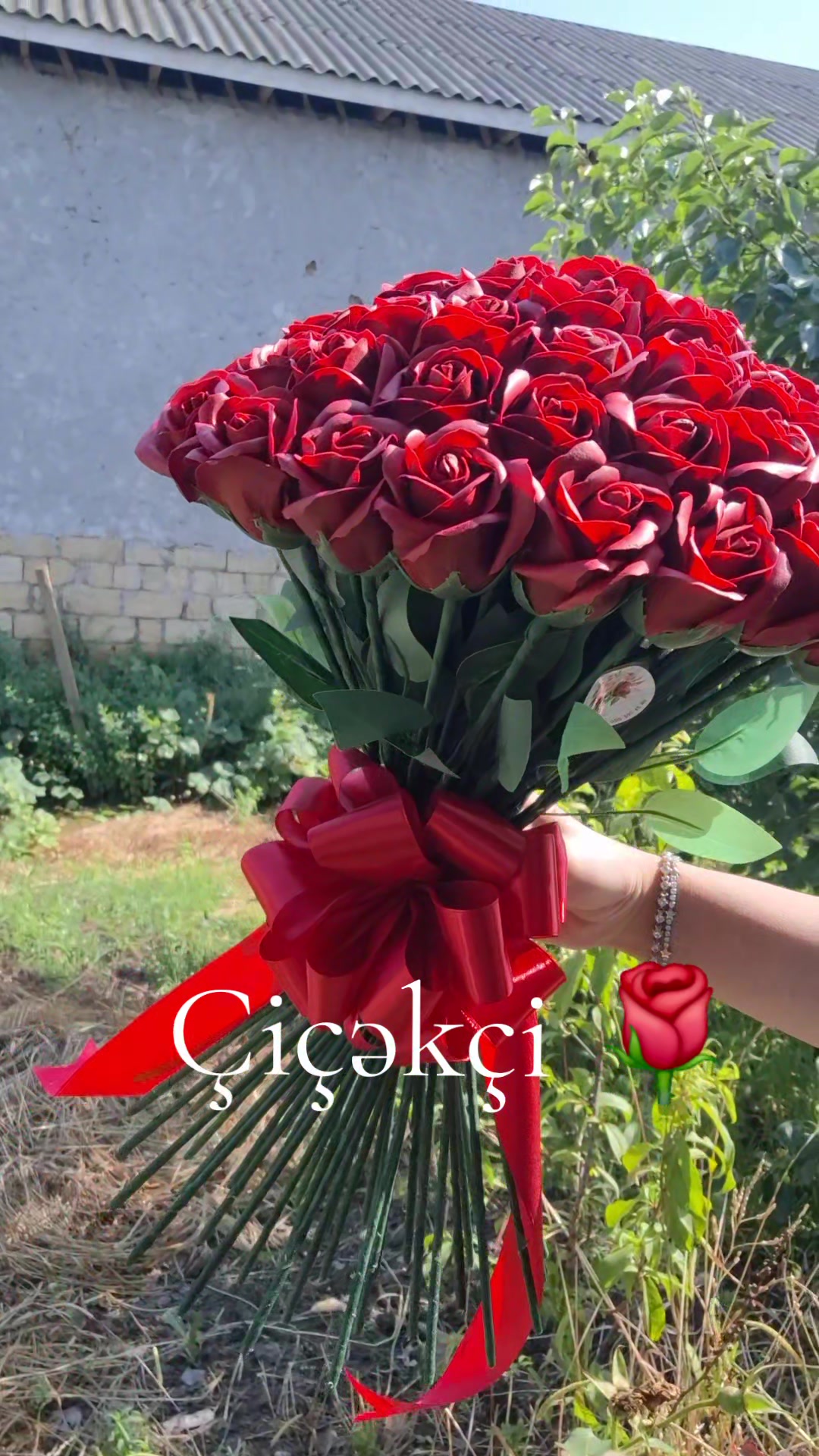@&Ccedil;i&ccedil;ək&ccedil;i Cəlilabad