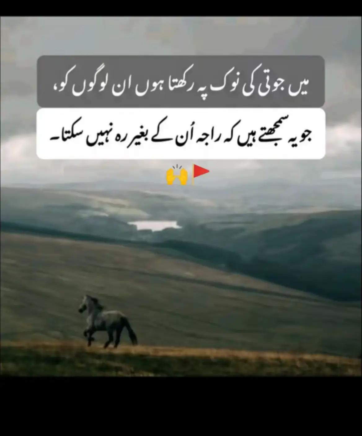 @umer.u love z