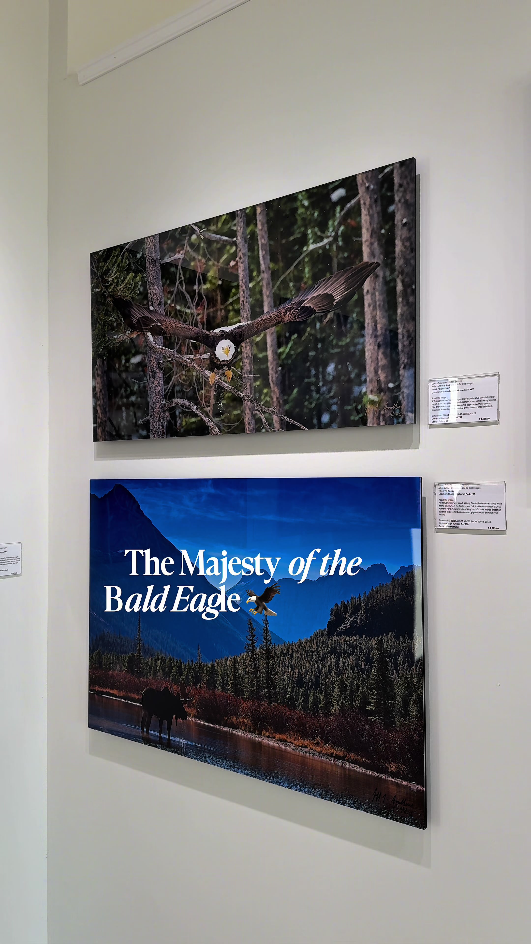 @Gallery Teton Reverra