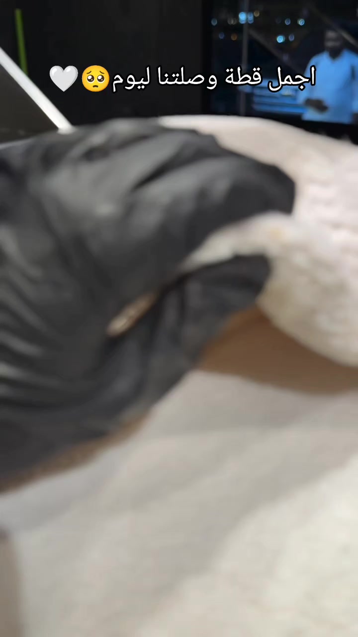 @متجر Ala cat سطنبول